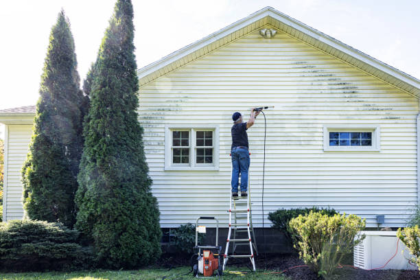 Best House Exterior Washing  in Arden Hills, MN